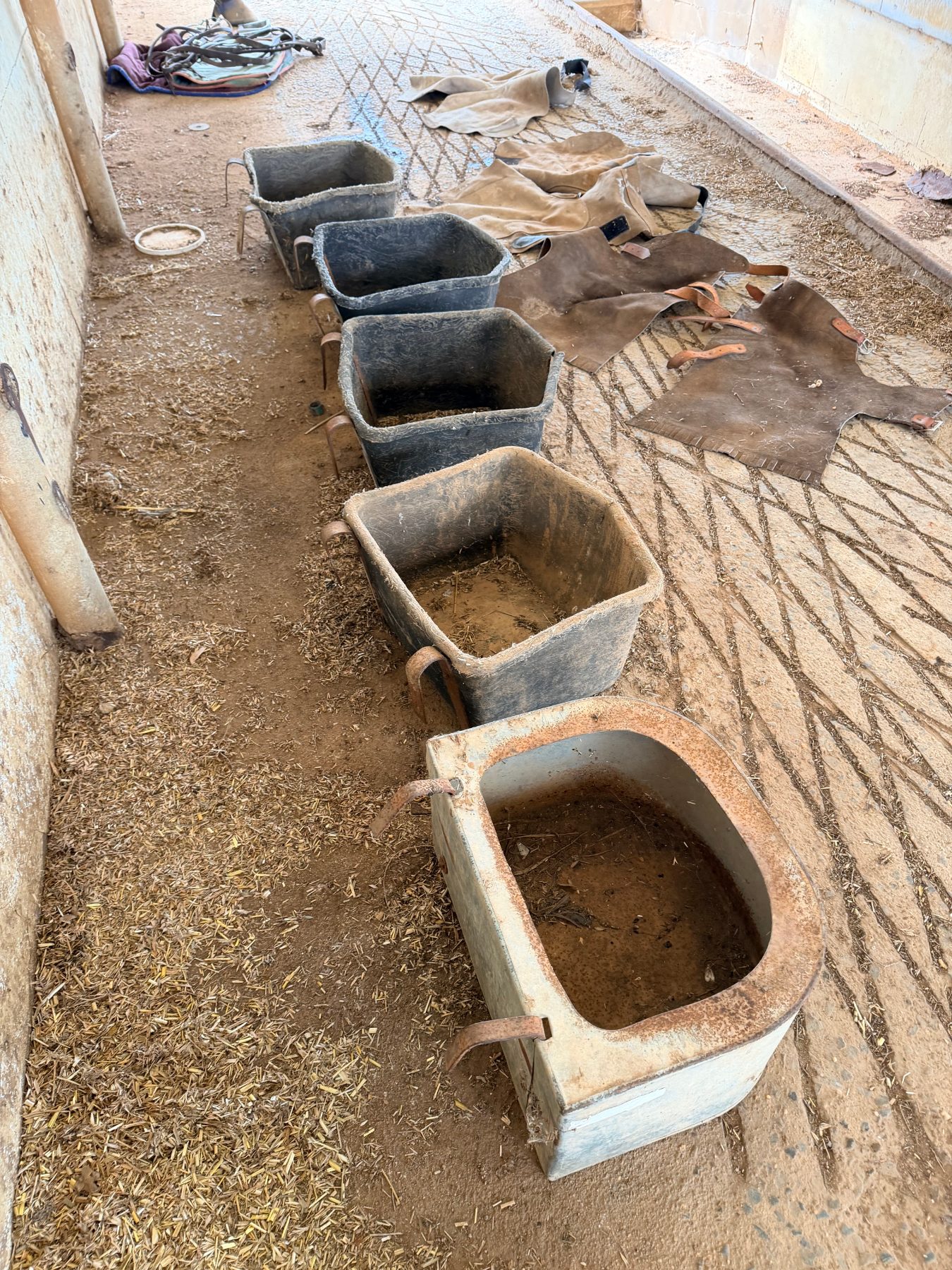5 livestock feeders