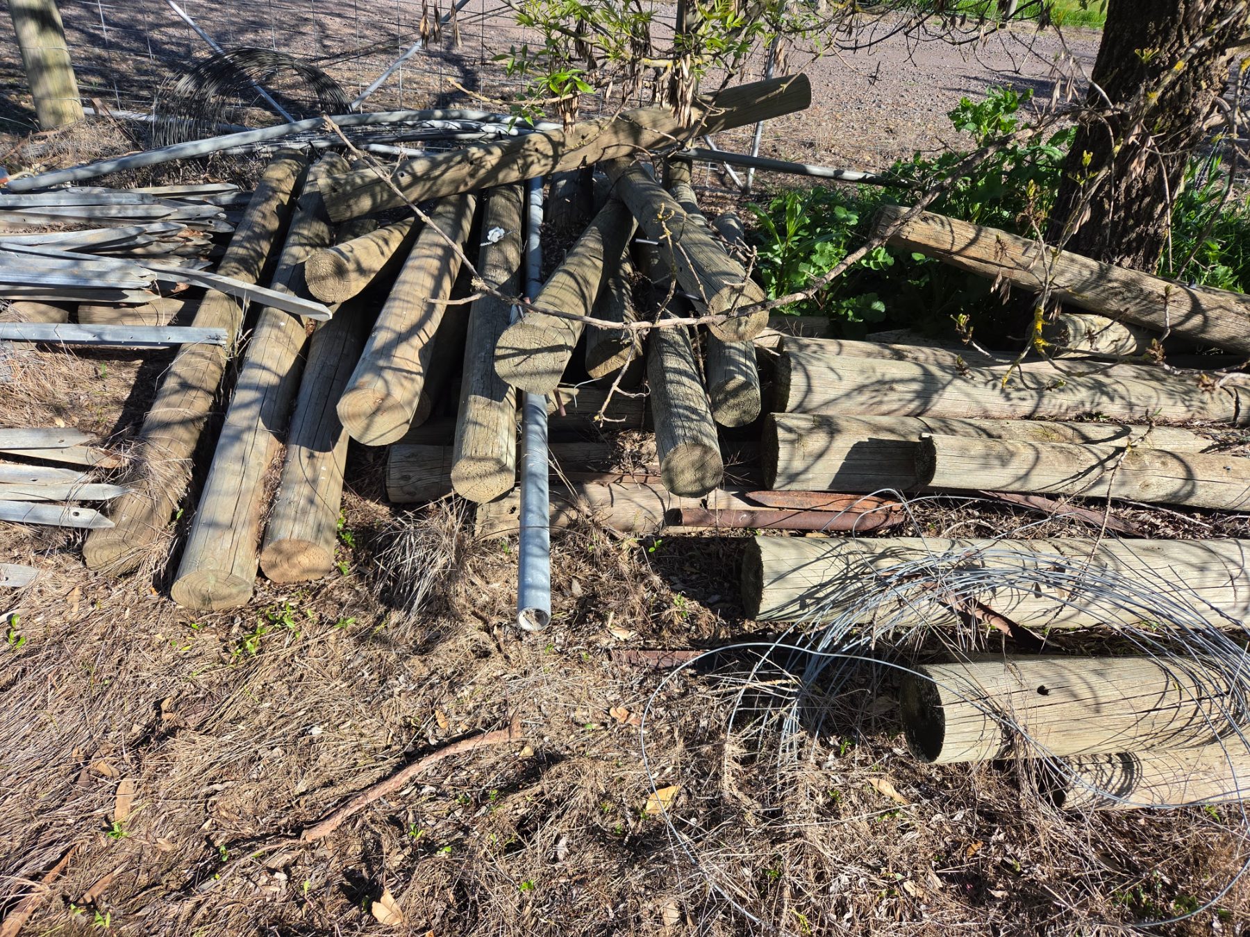 34x Assorted Pine Fence Posts - photo 2