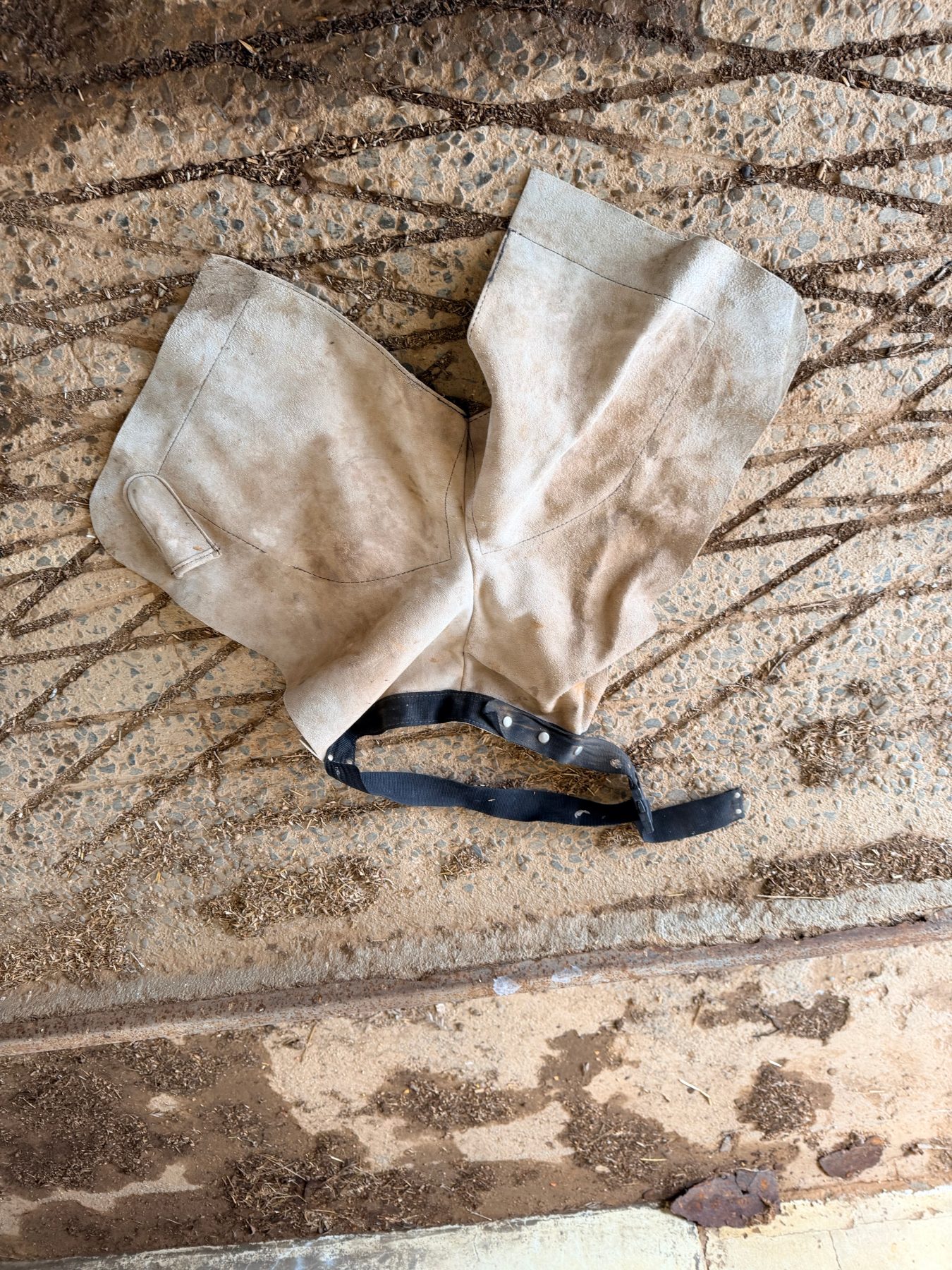 Assorted horse riding accessories - photo 2