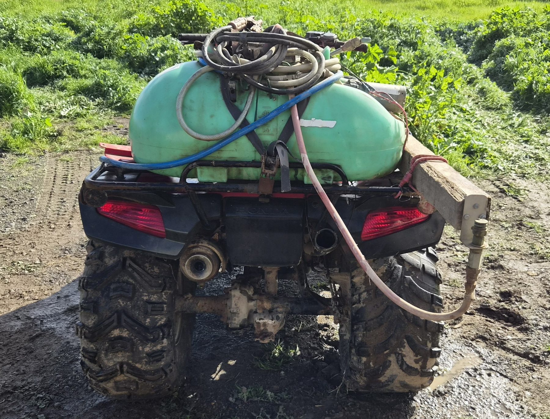 Honda TRX-350 2WD Quad Bike - photo 7