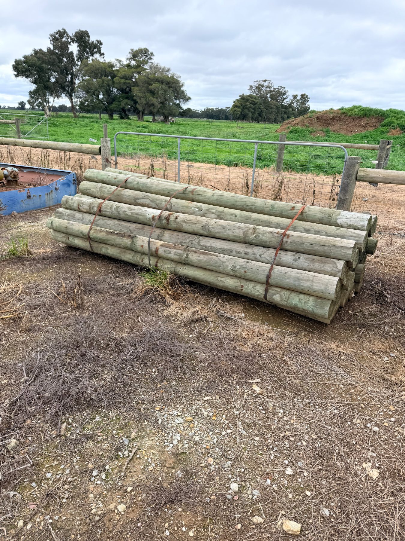 Full bundle of 10' pine posts - photo 2