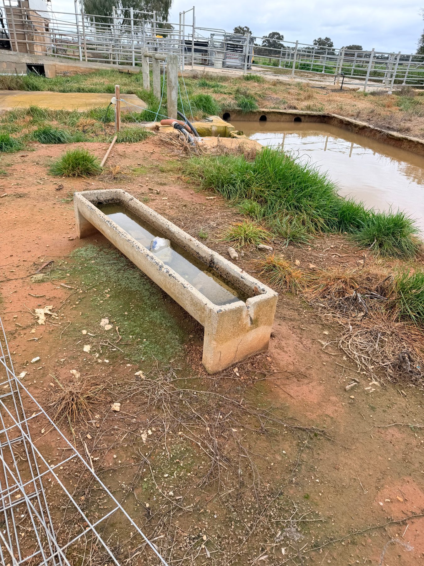 Rectangular concrete water trough
