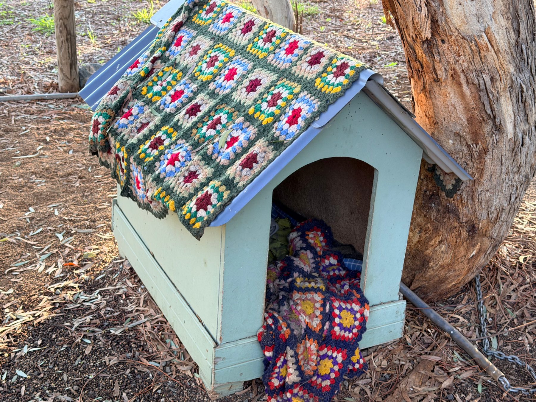 Medium sized dog kennel