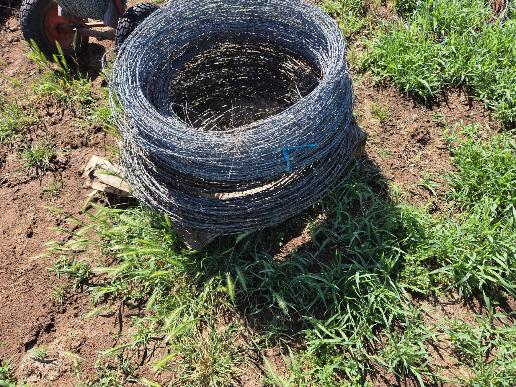 Used - Coils of Barbwire - photo 1