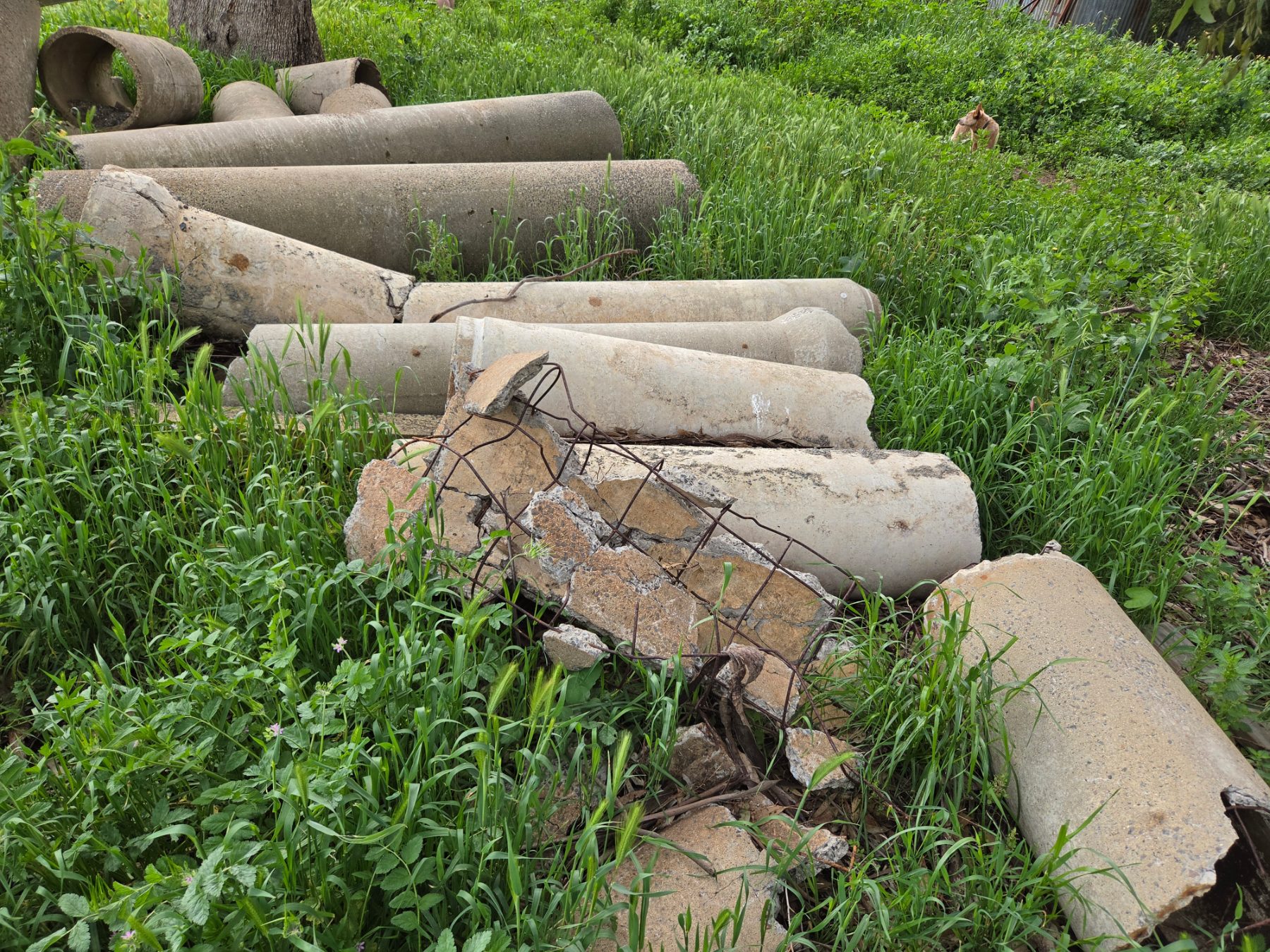 Assorted Concrete & Clay Pipes - photo 4