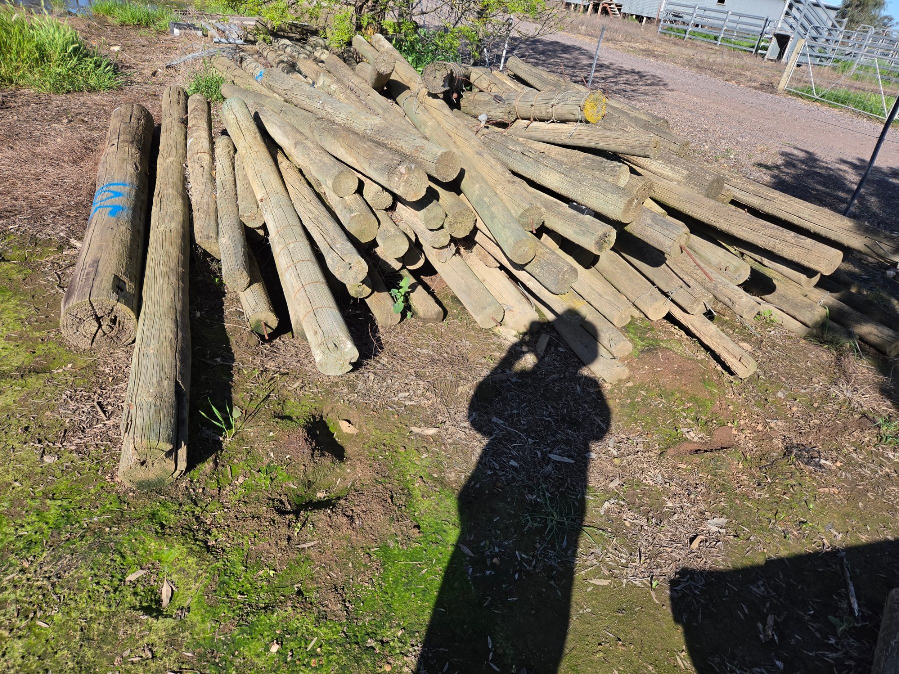 105x Assorted Pine Fence Posts - photo 3