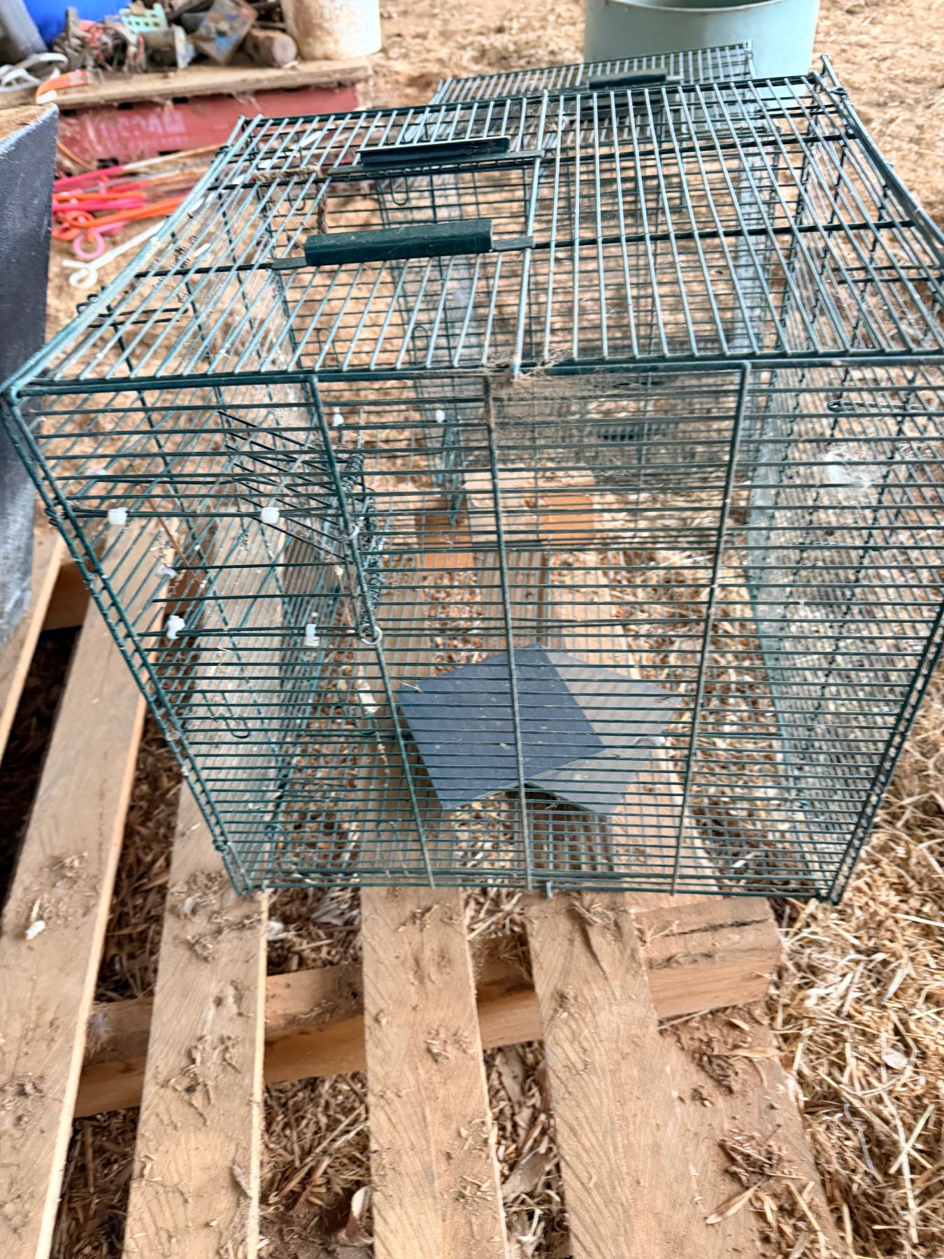 2 bird cages - photo 2