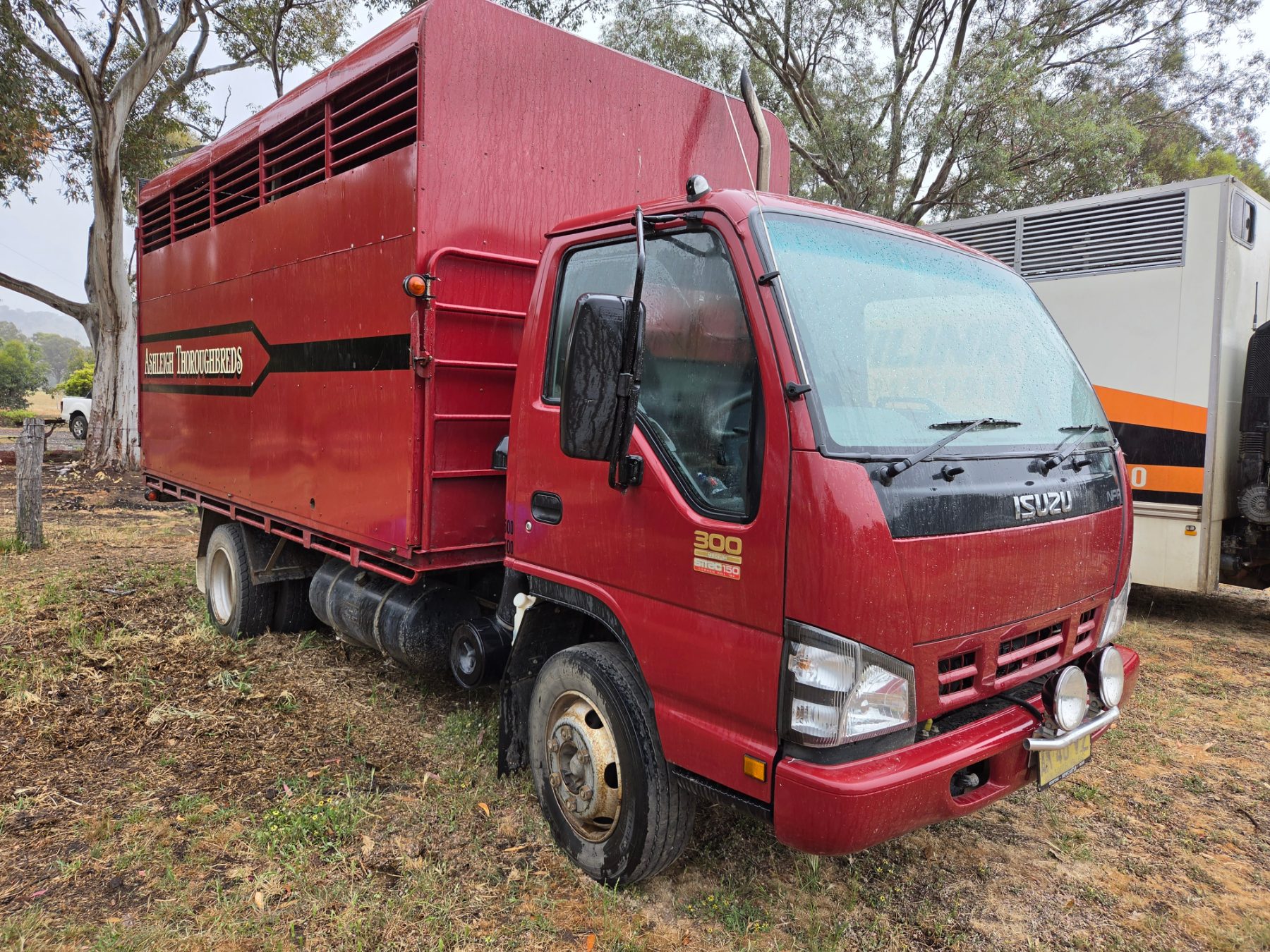Used - 2005 Isuzu NPR 300 Horse Truck - photo 1