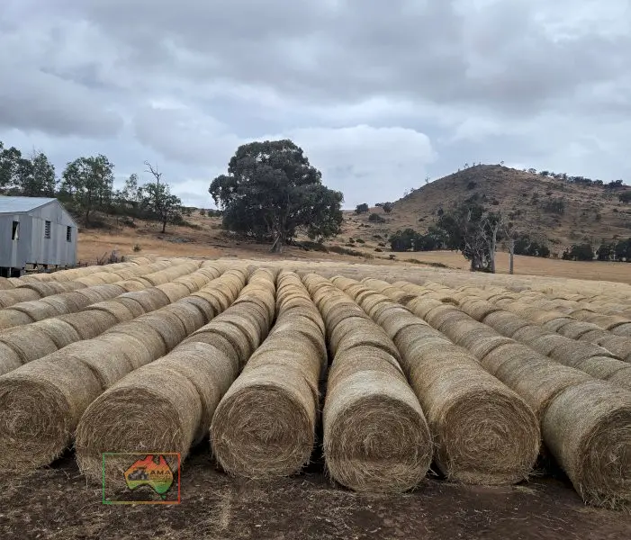24 Rolls of Pasture Hay ($/Roll)