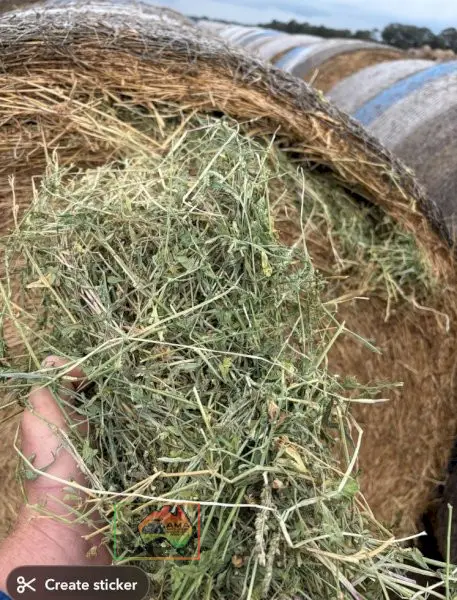 20 Rolls of 5x4 Pure Lucerne Hay ($/roll)