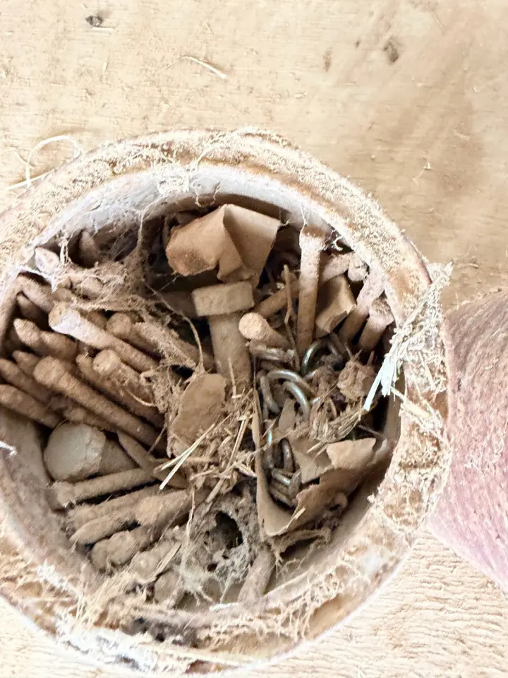 2 buckets of old nails, nuts, and bolts