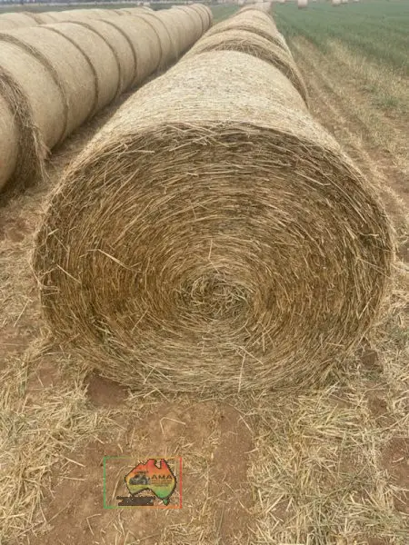 Rolls of Pure Lucerne Hay ($/Bale)