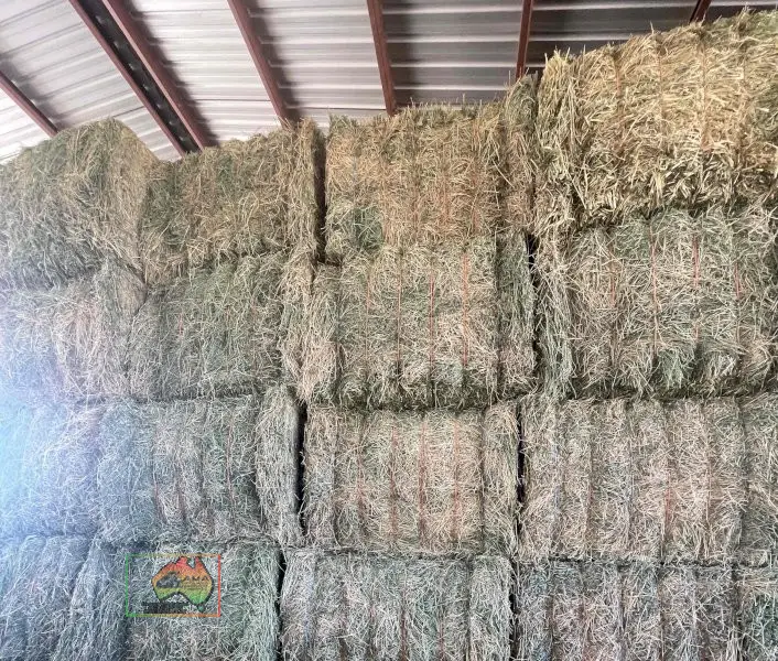 Quality 2nd Cut Irrigated Lucerne ($/bale)