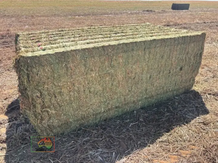 64 Bales of 8x4x3 Vetch Hay ($/Bale)
