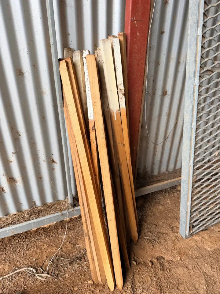 Quantity of timber surveyors pegs