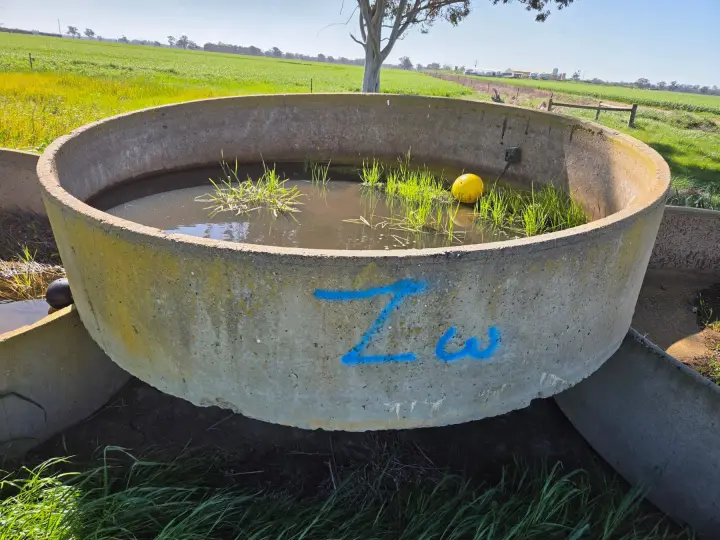 10ft Stock Trough with Ball Valve (Zw)