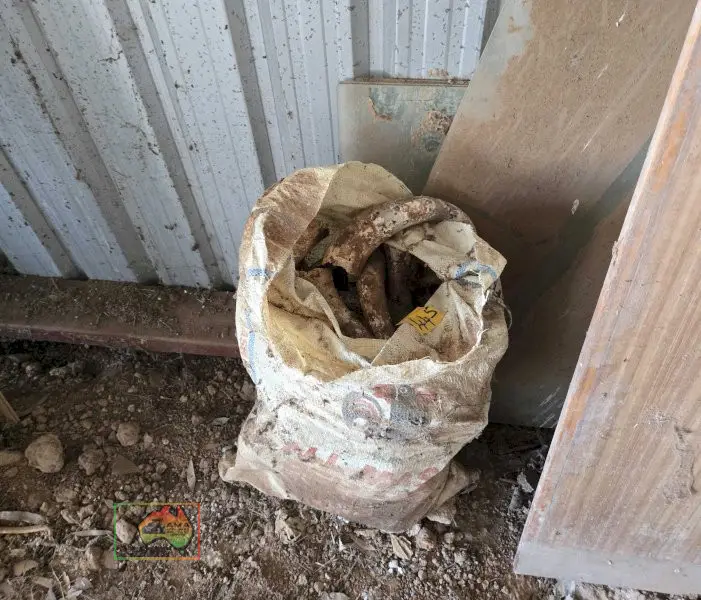 Bag of Cow Horns