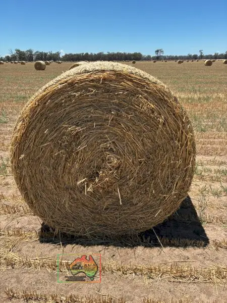 20 Rolls of 5x4 Oaten Hay ($/Bale)