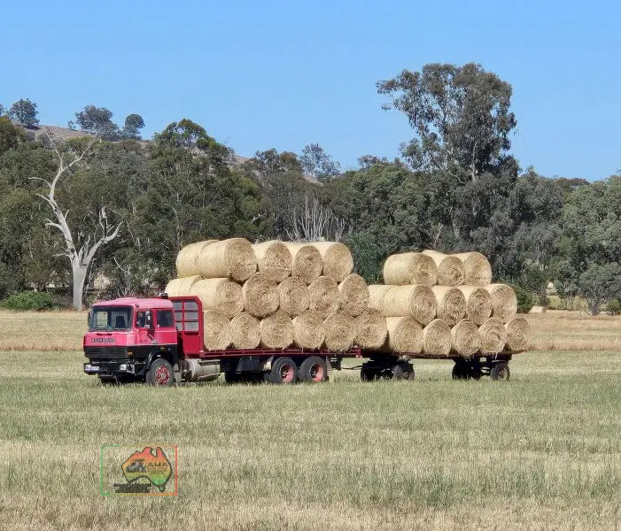 24 Rolls of 4x4 Rye & Barley Hay ($/Roll)