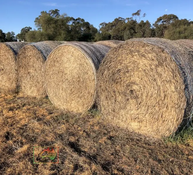 20 Rolls of 5x4 Wheaten Hay ($/roll)