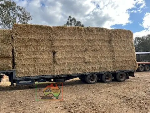 42 Bales of 8x4x3 Vetch Hay ($/Bale)