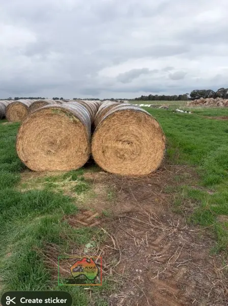 20 Rolls of 5x4 Pure Lucerne Hay ($/roll)