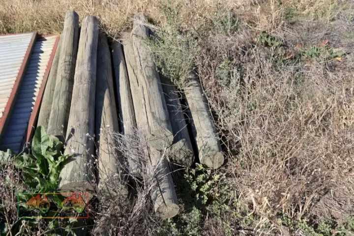 30+ Pine Posts