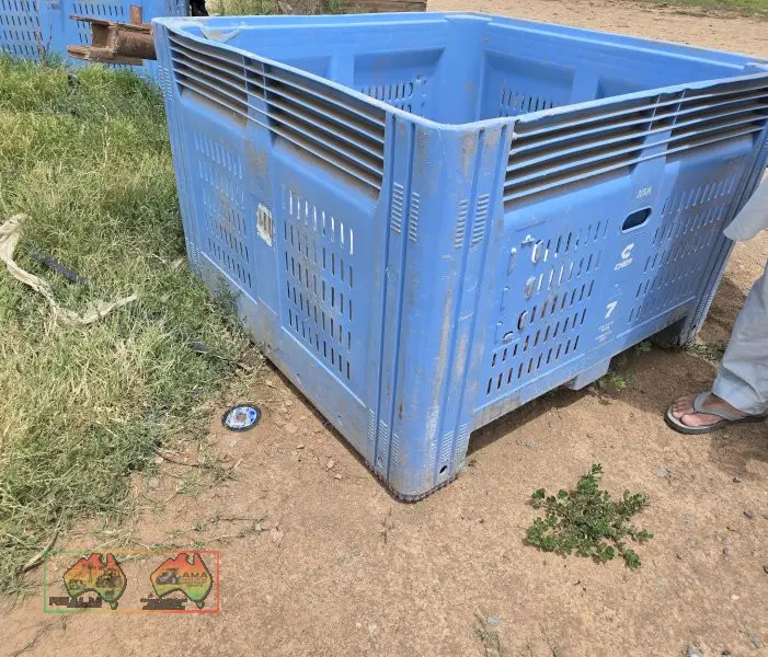 Good Quality Plastic Fruit Bins