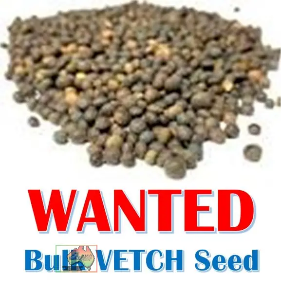 WANTED ~ 20 ton Bulk Vetch Seed