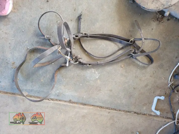 Black Leather Bridle