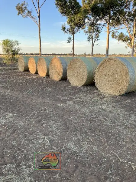 5x4 Rolls of Oaten Hay ($/Roll)