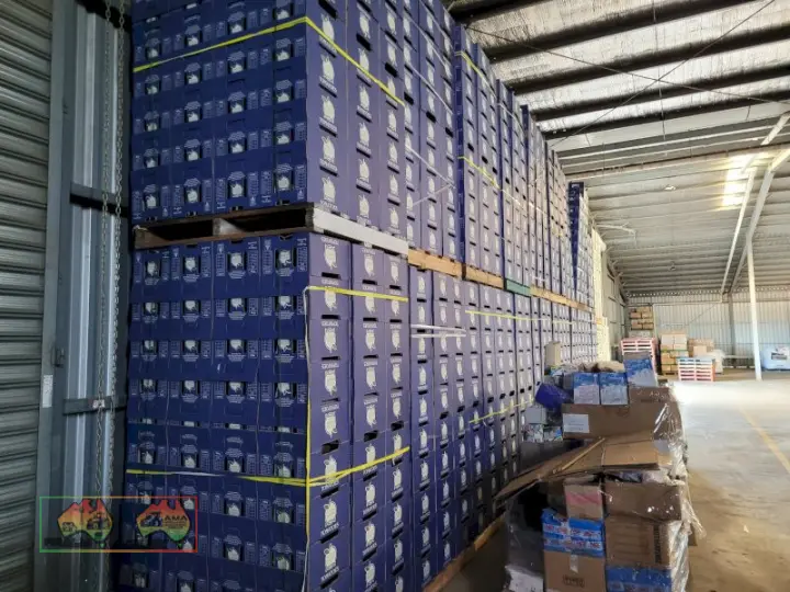 Blue Tomato Cardboard Fruit Boxes ($/Pallet)