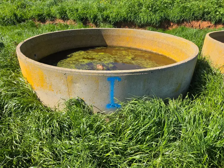 10ft Stock Trough (I)