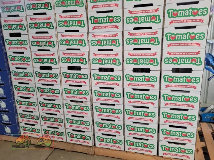 White Tomato Cardboard Fruit Boxes