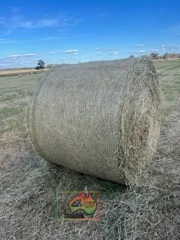 Rolls of Italian Ryegrass, Balansa Clover & Oats (REDUCED)