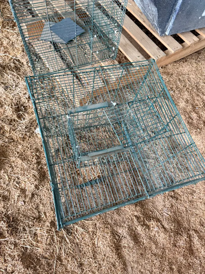 2 bird cages