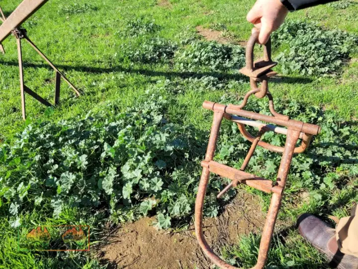 Cattle Hip Clamps