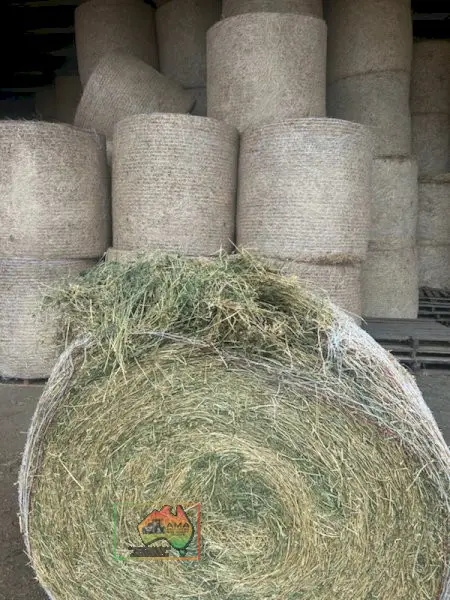4x4 Rolls of Pure Lucerne Hay (Shedded)