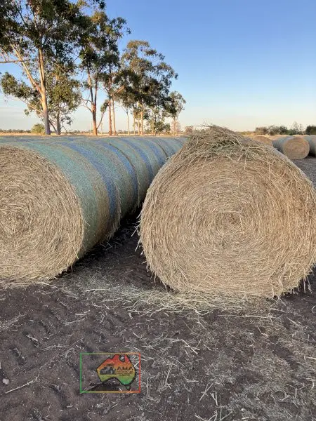 50 Rolls of 5x4 Oaten Hay ($/roll)
