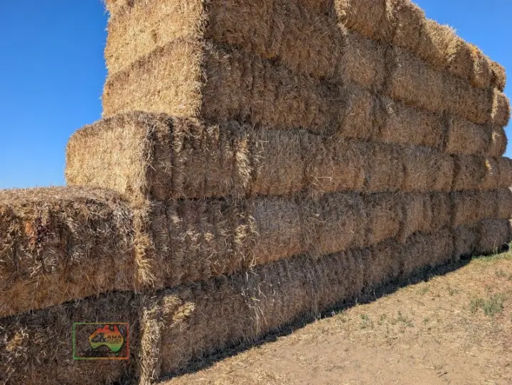 8x4x3 Bales of Oaten Straw (Header Tailings)