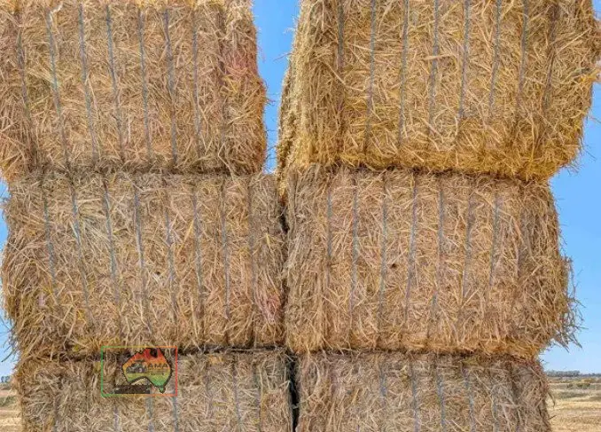 B-Double of 8x4x3 HDP Oaten Straw (Header Tailings)