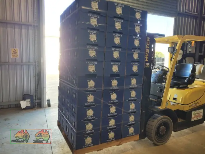 Blue Tomato Cardboard Fruit Boxes ($/Pallet)