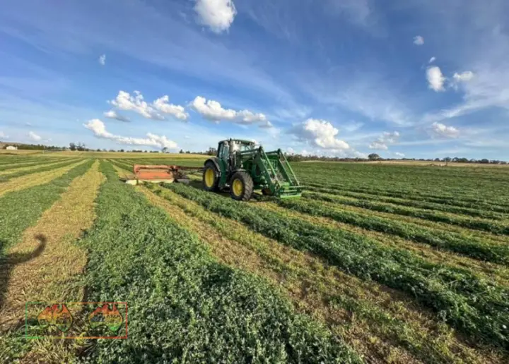 Small prime lucerne square bales weighting at 25kg each $22 plus gst per bale 300 available