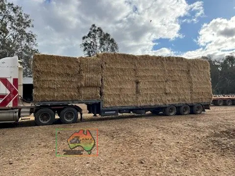 42 Bales of 8x4x3 Vetch Hay ($/Bale)