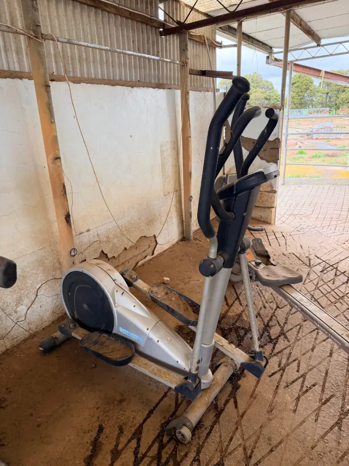 Guy Leech GLX 500 walker