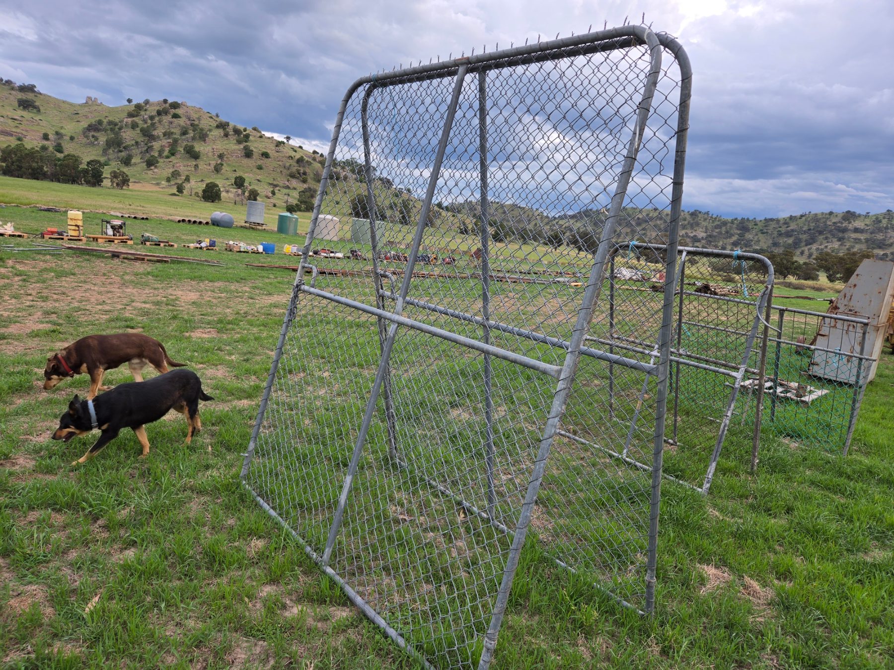 Used - A Pair of High Chainmesh Gates - photo 1