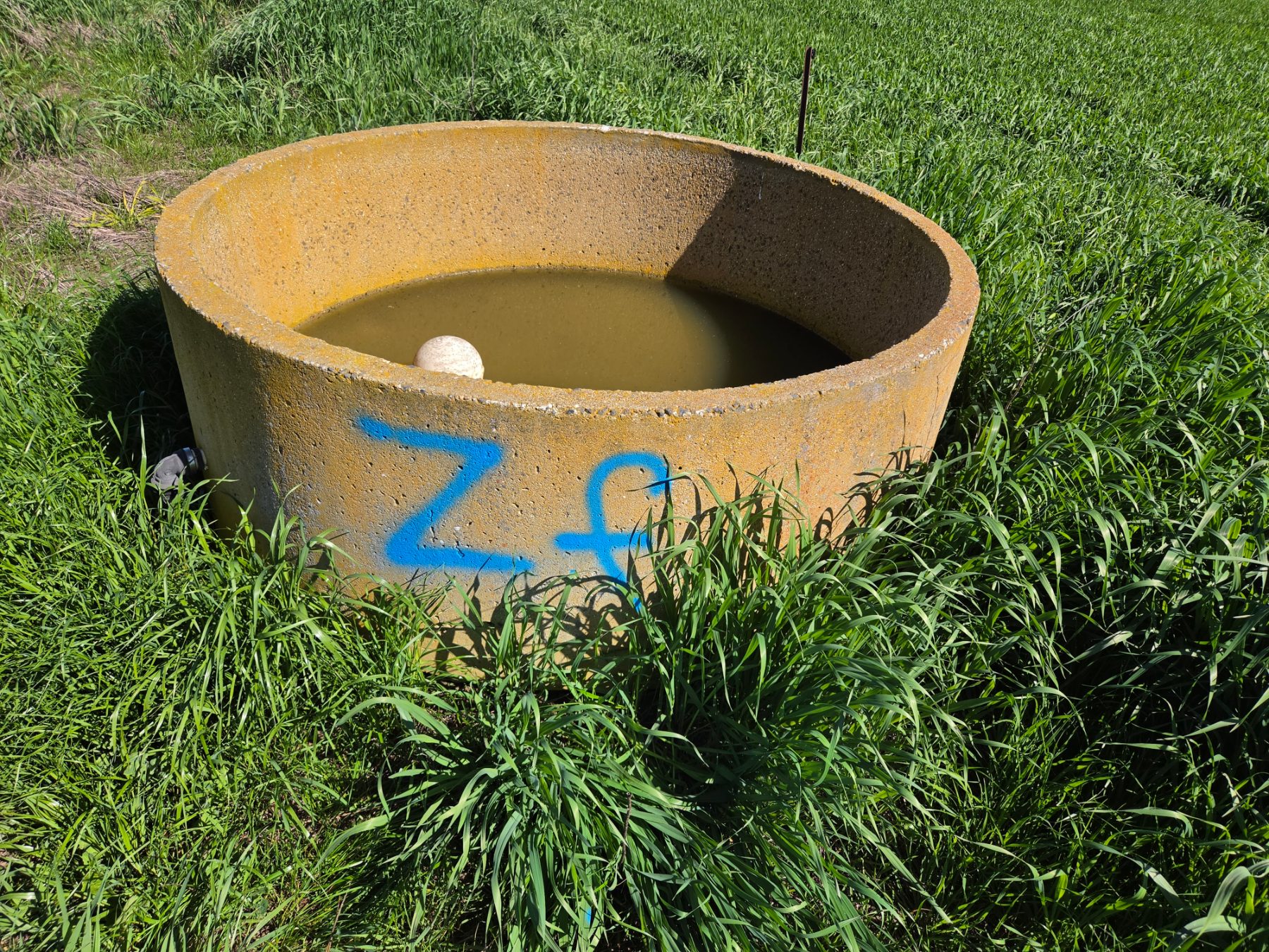 6ft Stock Trough with Ball Valve (Zf) - photo 1