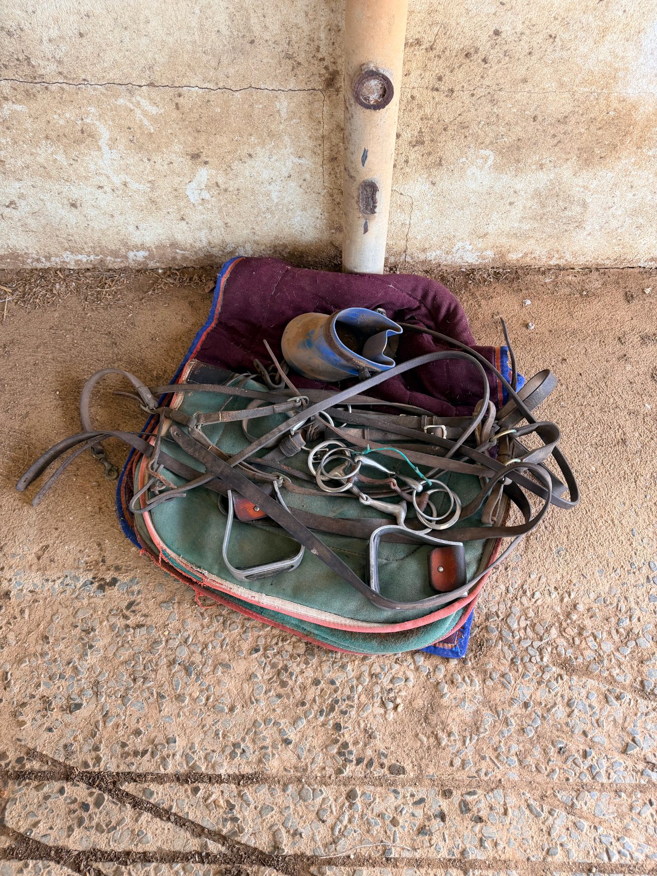 Horse riding accessories