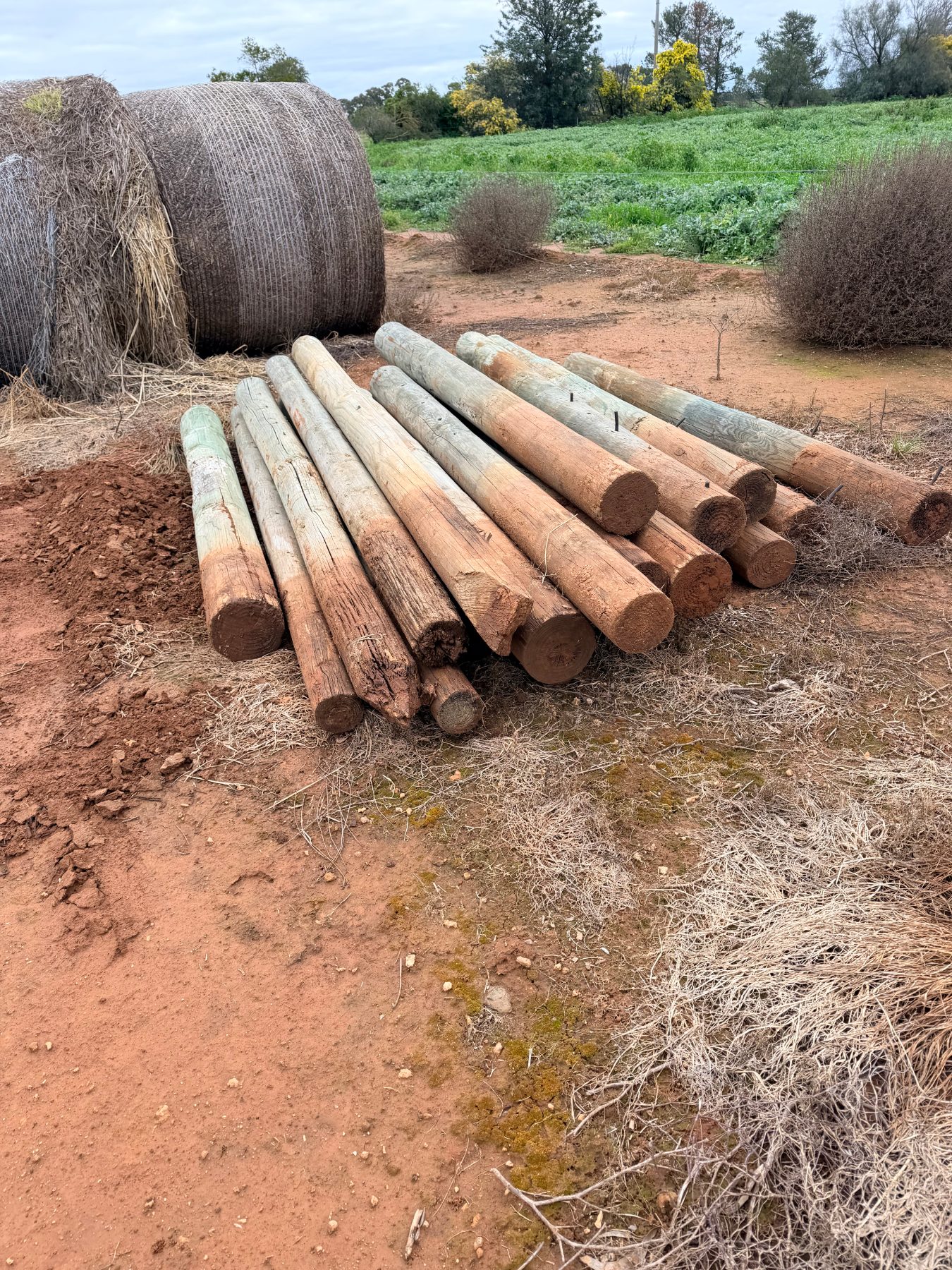 Quantity of assorted treated pine posts