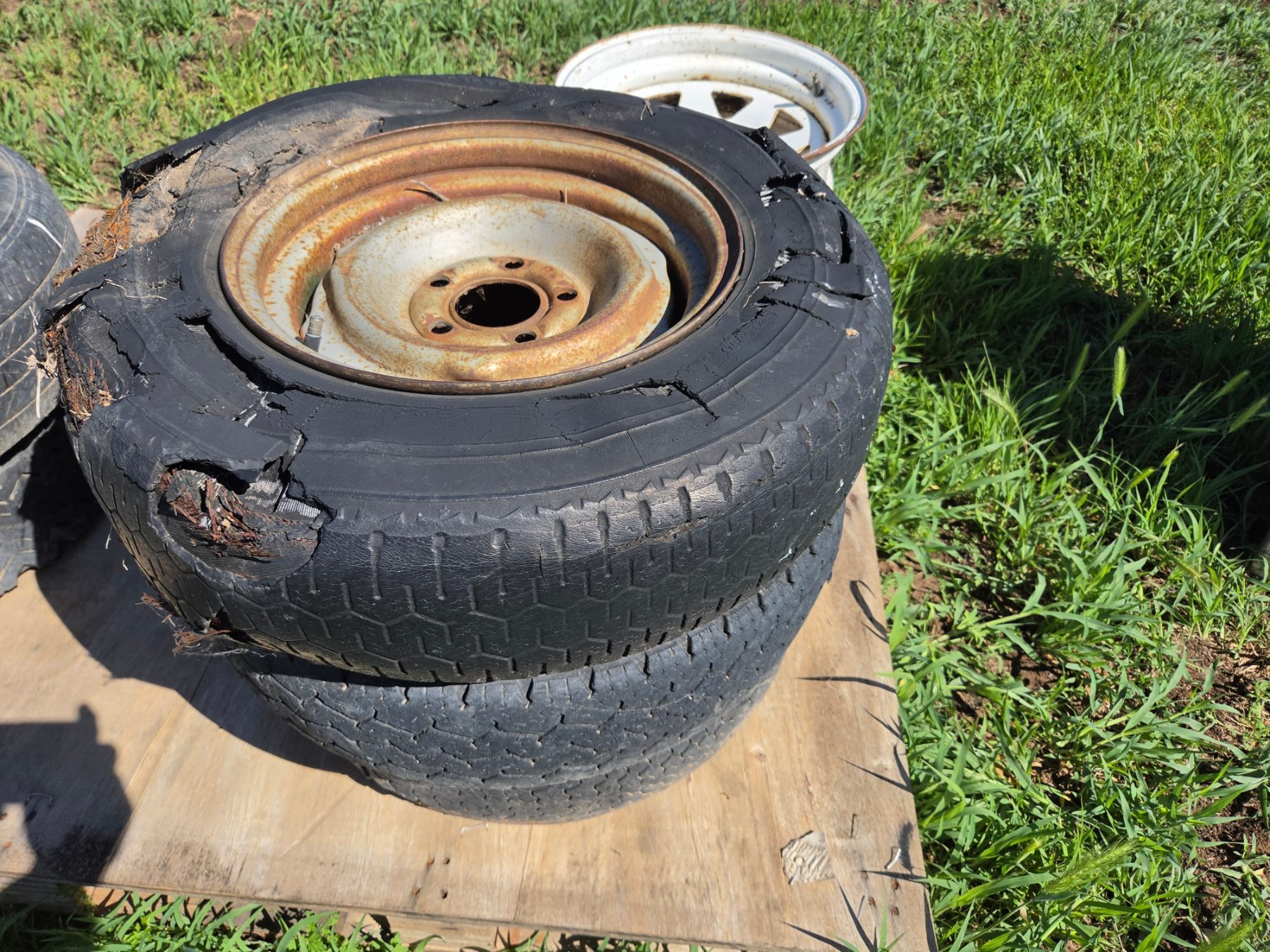 Used - 4x 14" Holden Trailer Rims - photo 2